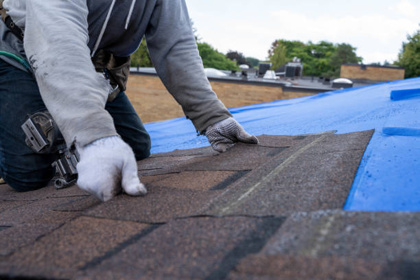 Best Solar Panel Roofing Installation  in Moultrie, GA