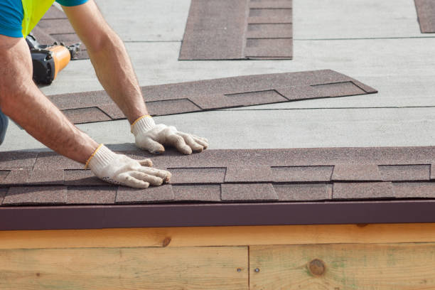 Best Roof Maintenance and Cleaning  in Moultrie, GA