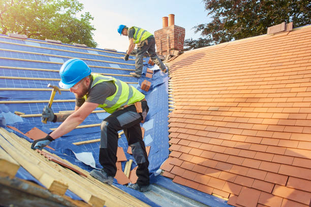 Best Skylight Installation and Repair  in Moultrie, GA